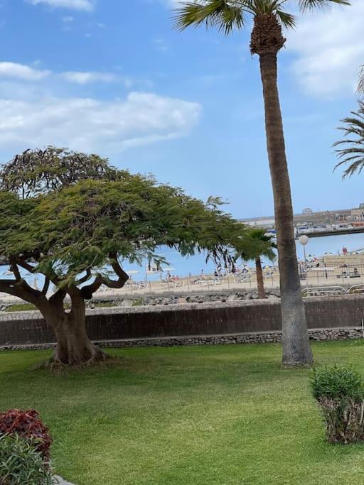Apartamento Puerto Rico - Primera Linea De Playa Mogán Exteriör bild